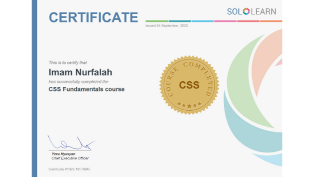 Sololearn CSS